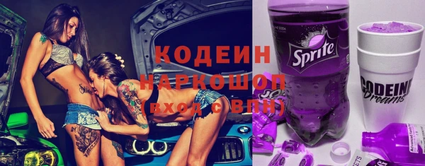 крисы Армянск