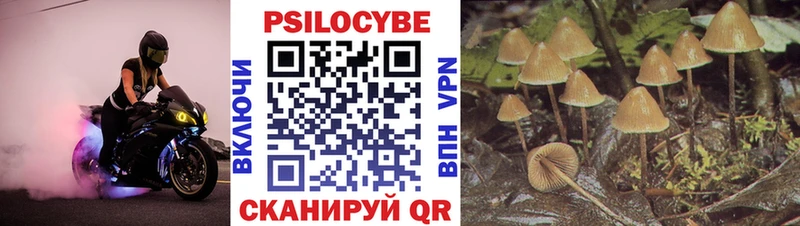 даркнет какой сайт  Уржум  Псилоцибиновые грибы прущие грибы 